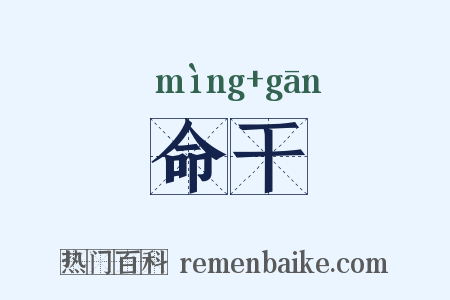 命干是什么意思的图片